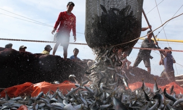Prime Minister: Fight IUU fisheries for the good of the nation