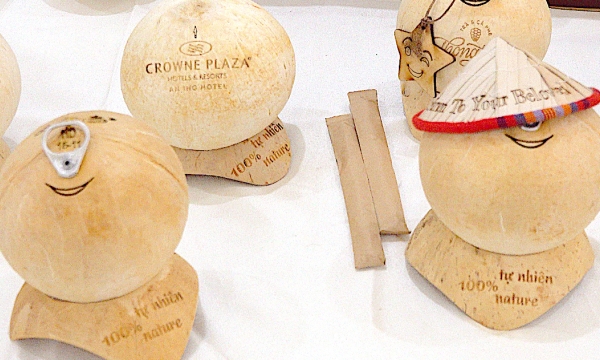 Opportunities for Vietnamese coconut on the 'US and Chinese markets'
