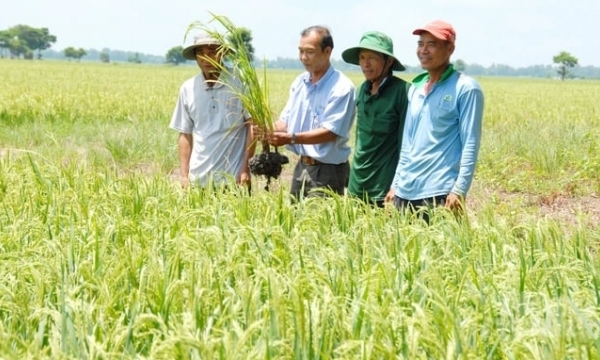 30 years of Vietnam Agricultural Extension: The imprints left behind