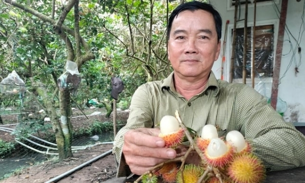Vinh Long: Concern about food safety issues