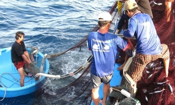 Anti-IUU fishing contributes to reducing maritime accidents