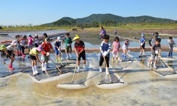 Minister Le Minh Hoan’s visit to Taepyeong salt farm and Mokpo Fisheries Cooperative