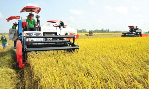 Agricultural mechanization restrictions in synchronous categories and quantities
