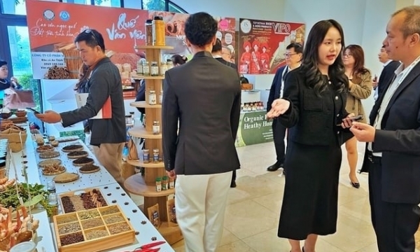 Sustainable and comprehensive development of Vietnam's pepper and spice industry