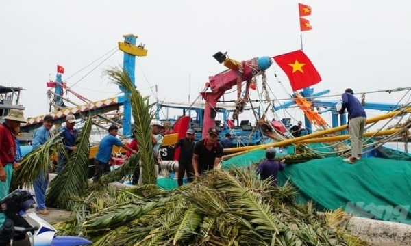 Criticized by the Prime Minister, Ba Ria - Vung Tau aggressively combats IUU fishing
