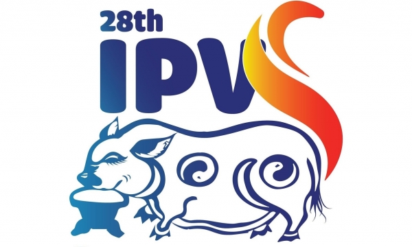 Vietnam hosts the International Pig Veterinary Conference