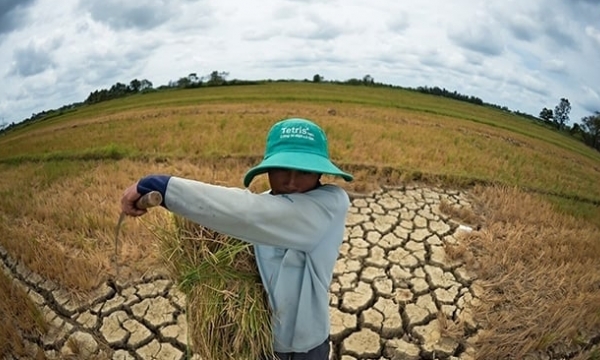 International organizations support Mekong Delta in climate change adaptation