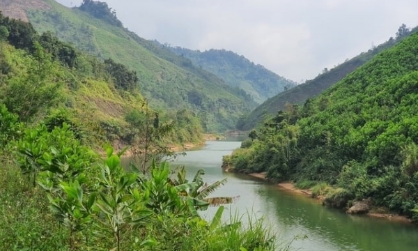 Reasons for Quang Nam’s forest carbon credits unsold