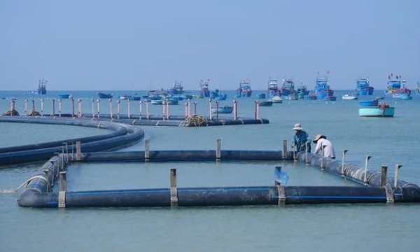 The Chairmen of Ninh Thuan and Quang Ninh provinces propose solutions to licensing challenges