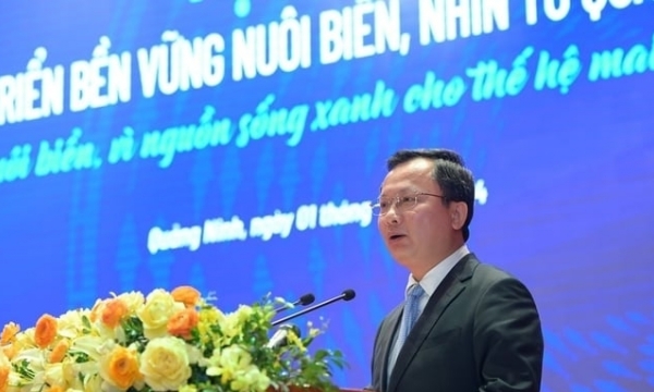 Six key tasks of Quang Ninh province's mariculture industry
