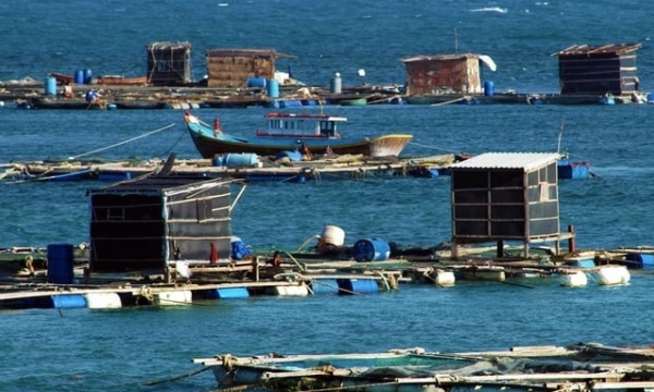 Building the mariculture industry: organizing marine space