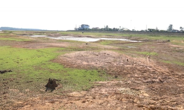 15 hồ lớn cạn nước, Đắk Lắk ứng phó ra sao?