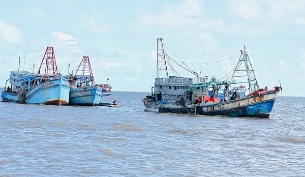 Introducing new regulations to address the issue of IUU drastically