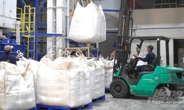 Vietnam maintaining a rice export volume of 7.4 million tons in 2024