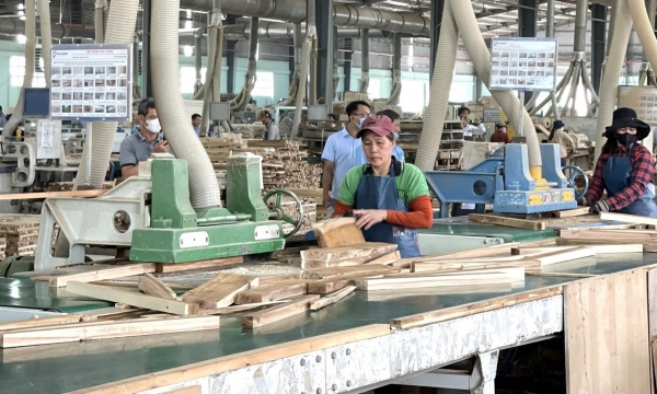 'Sinh lộ' của ngành gỗ Việt: [Bài 2] Từ quản lý rừng bền vững đến chống phá rừng