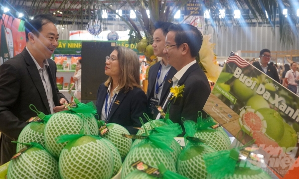 400 Vietnamese enterprises seeking opportunities for export market expansion