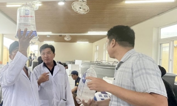 Mebi Group officially enters Vietnam's shrimp industry