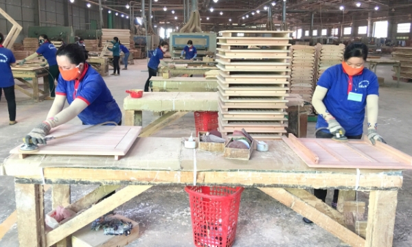Developing material areas for wood processing industry reaches urgent time