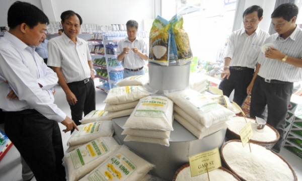 Loc Troi Group helps in confirming DNA for Vietnam’s rice varieties