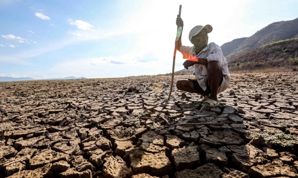 Five provinces supported to develop drought-resistant smart agriculture