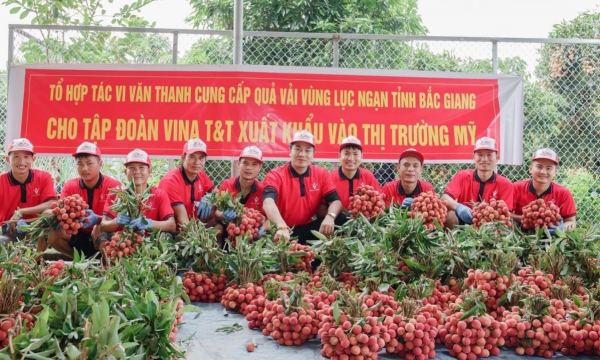 Vietnam's fruit and vegetable exports have great potential in the USA