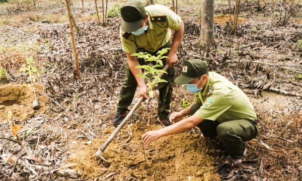 Forestation fosters the goal of pandemic prevention