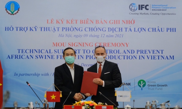 IFC provides technical supports on control and prevent African Swine Fever in Vietnam