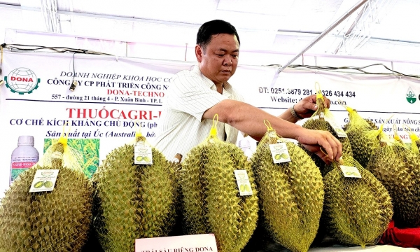 New prospects for durian: push from the billion-person market