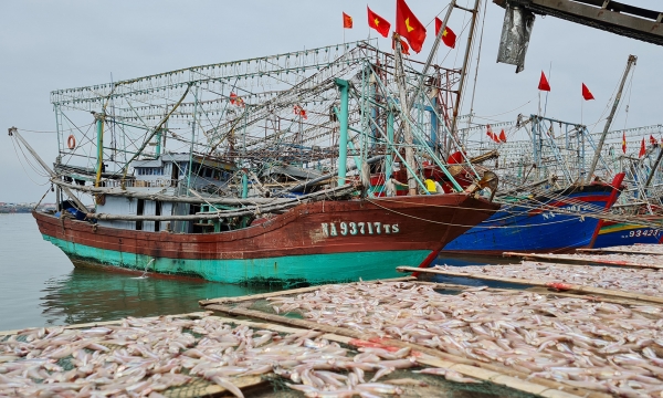 LED lights are needed to improve exploitation quality of fishing vessels in Nghe An