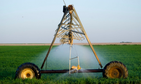 Ảrập Xêút giảm 95% mức tiêu thụ nhiên liệu lỏng cho ngành nông nghiệp