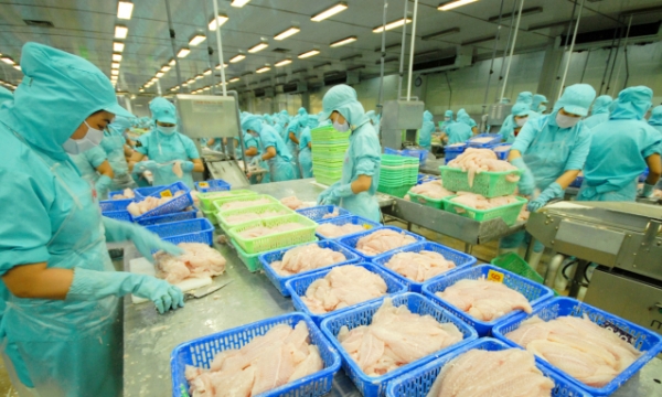 10 pangasius businesses not currently subject to the US anti-dumping tax