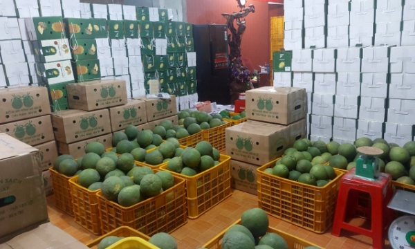 China remains the main fruit export market