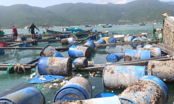 Marine farming in the face of climate change challenges