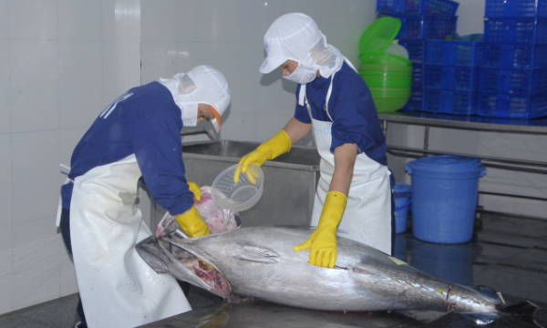 Nano bubble technology applied in tuna preservation