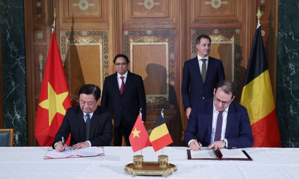 Vietnam - Belgium Agricultural Strategic Partnership: focusing on practicality