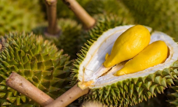 Vietnamese Ri6 durian made its debut in the UK market
