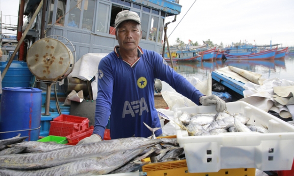 Effective coordination among provinces in fishing vessel management