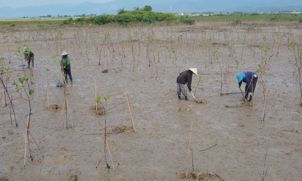 Local residents benefitting from the FMCR reforestation project