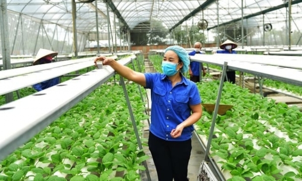 Hanoi city: Mechanisms to promote rural economic development