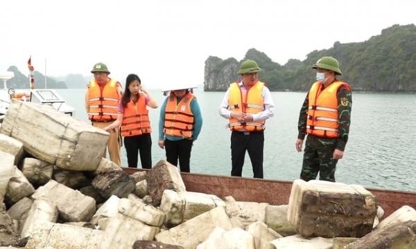 Lack of planning for aquaculture area in Quang Ninh province