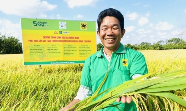 Four major businesses join forces to implement smart rice farming
