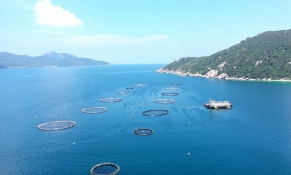 Deputy minister Phung Duc Tien: Vietnam's mariculture to reach a regional and global scale