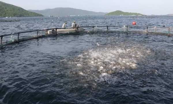 Building the mariculture industry: green value of science and technology