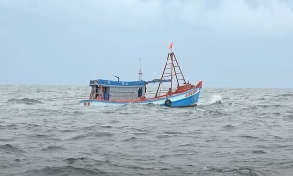 Maximum penalty of 1 billion VND for illegal fisheries exploitation