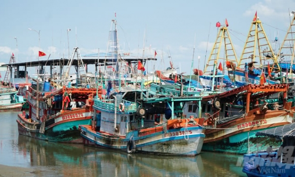 Anti-IUU fishing for the future of Vietnam fisheries: Strong actions against fishing vessels