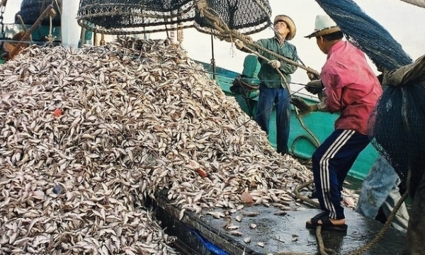 A look into the Government's Action Program against IUU fishing