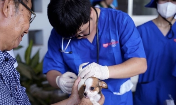 Pet owners' indifference towards rabies in dogs and cats
