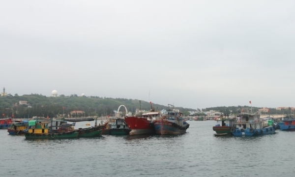 Hai Phong discovers over 100 fishing vessels with disconnected VMS in a month
