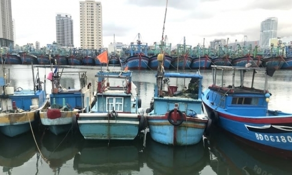 Binh Dinh province to salvage old fishing vessels with high risk of IUU fishing violations