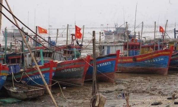 Monitoring fishing vessels violations with the public's assistance